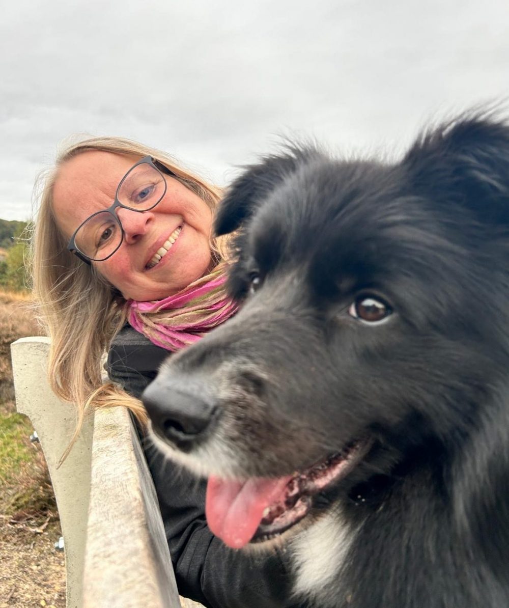 e3b4150f-50a8-4d32-bc30-281b83ae755c